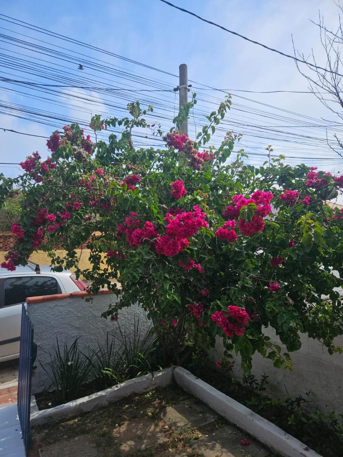 Casa De Temporada Em Figueira - Arraial Do Cabo - Casa 5 Villa Eksteriør billede